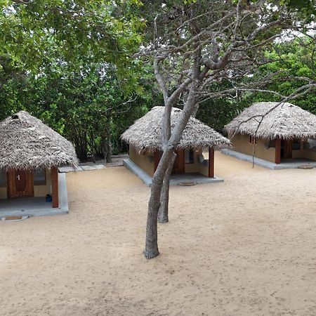 Peanut Farm Surf And Wild Resort - Arugambay อารูกัมเบย์ ภายนอก รูปภาพ