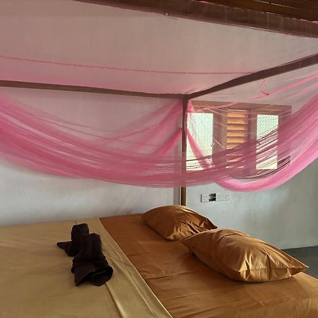 Peanut Farm Surf And Wild Resort - Arugambay อารูกัมเบย์ ภายนอก รูปภาพ