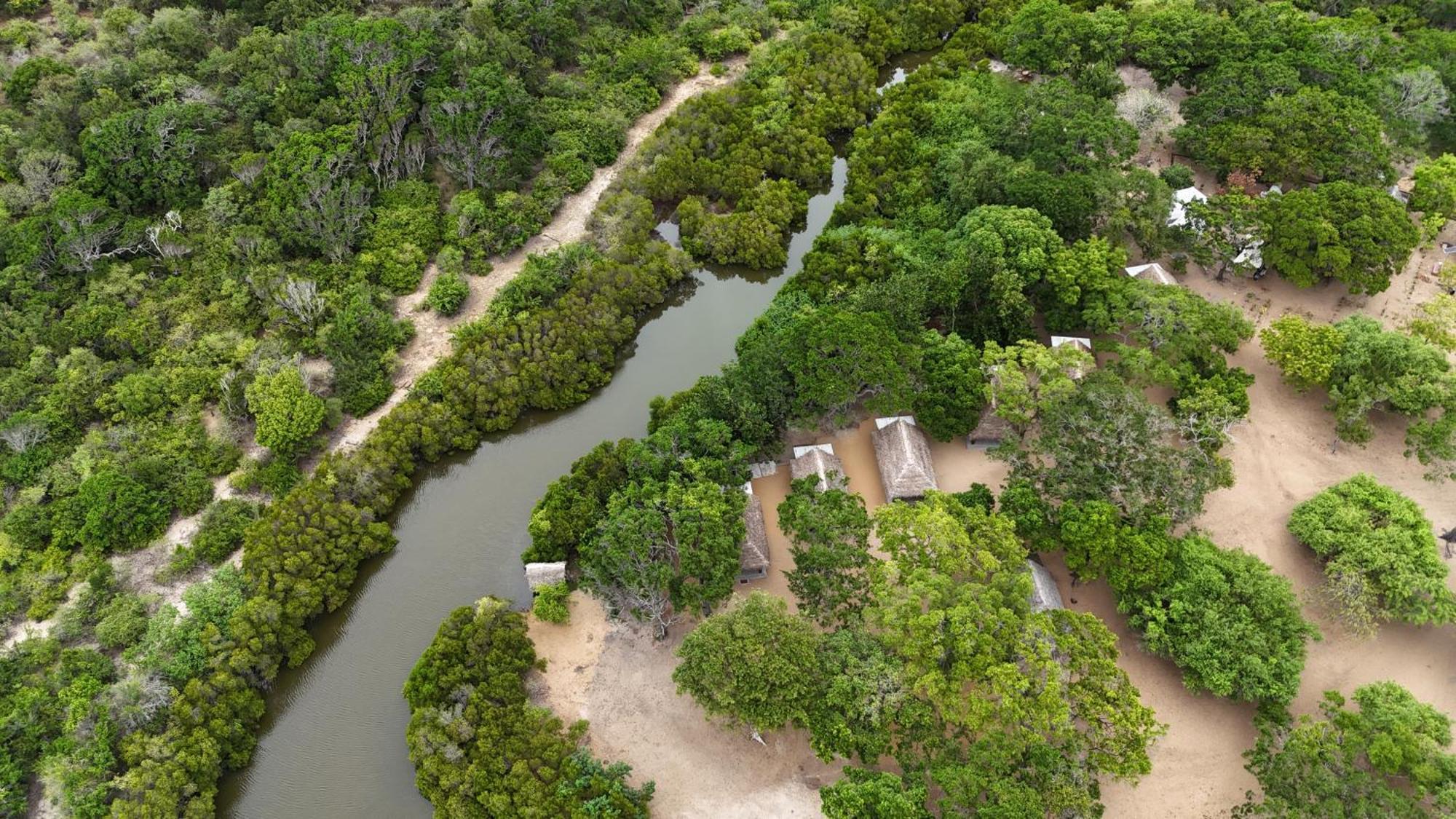 Peanut Farm Surf And Wild Resort - Arugambay อารูกัมเบย์ ภายนอก รูปภาพ