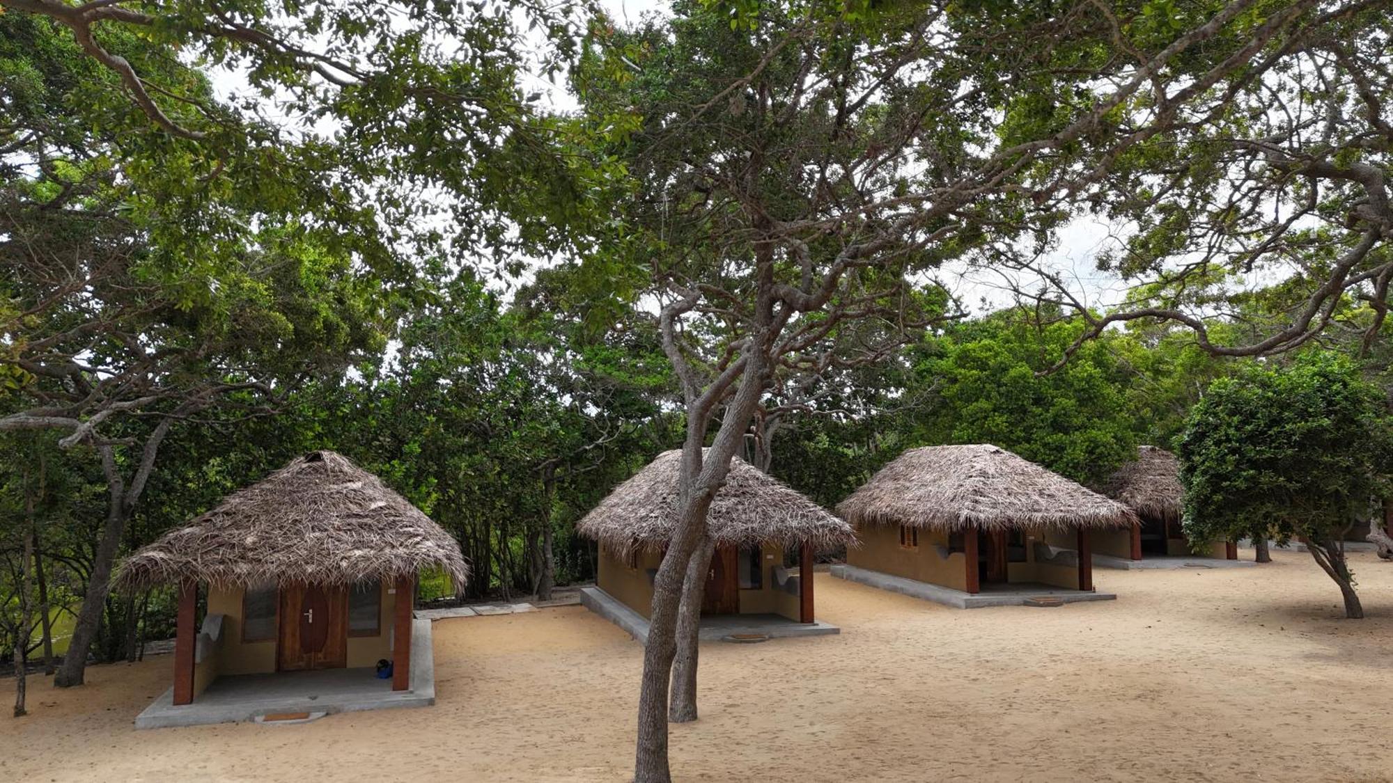 Peanut Farm Surf And Wild Resort - Arugambay อารูกัมเบย์ ภายนอก รูปภาพ