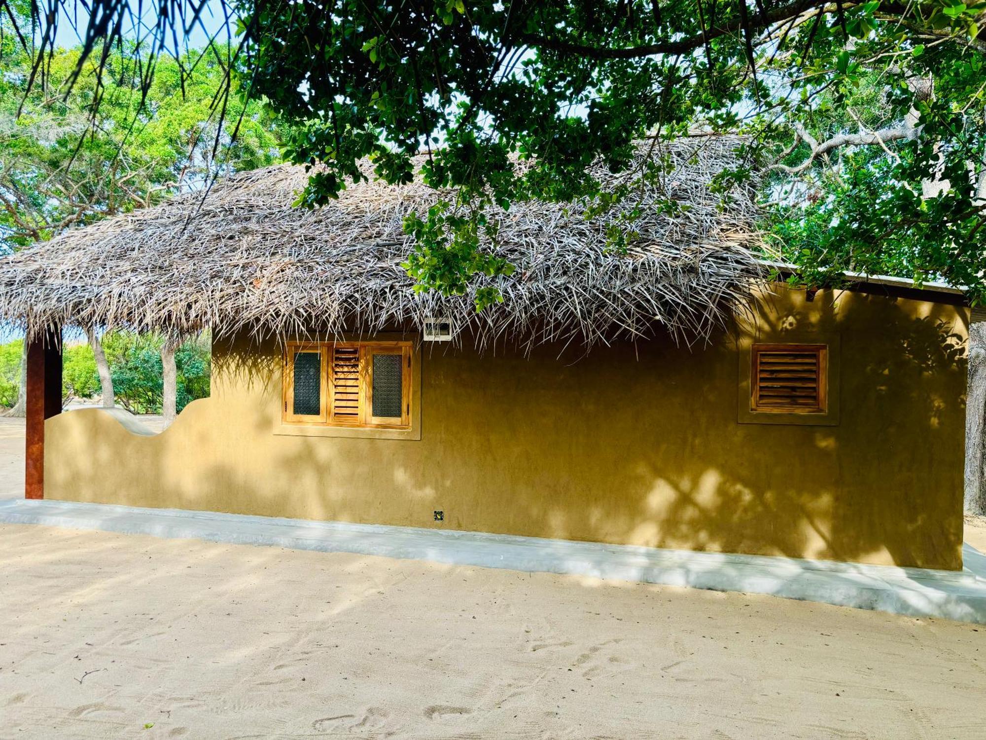 Peanut Farm Surf And Wild Resort - Arugambay อารูกัมเบย์ ภายนอก รูปภาพ