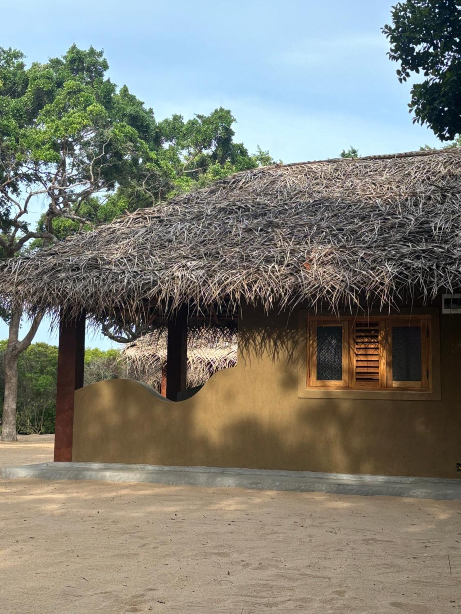 Peanut Farm Surf And Wild Resort - Arugambay อารูกัมเบย์ ภายนอก รูปภาพ