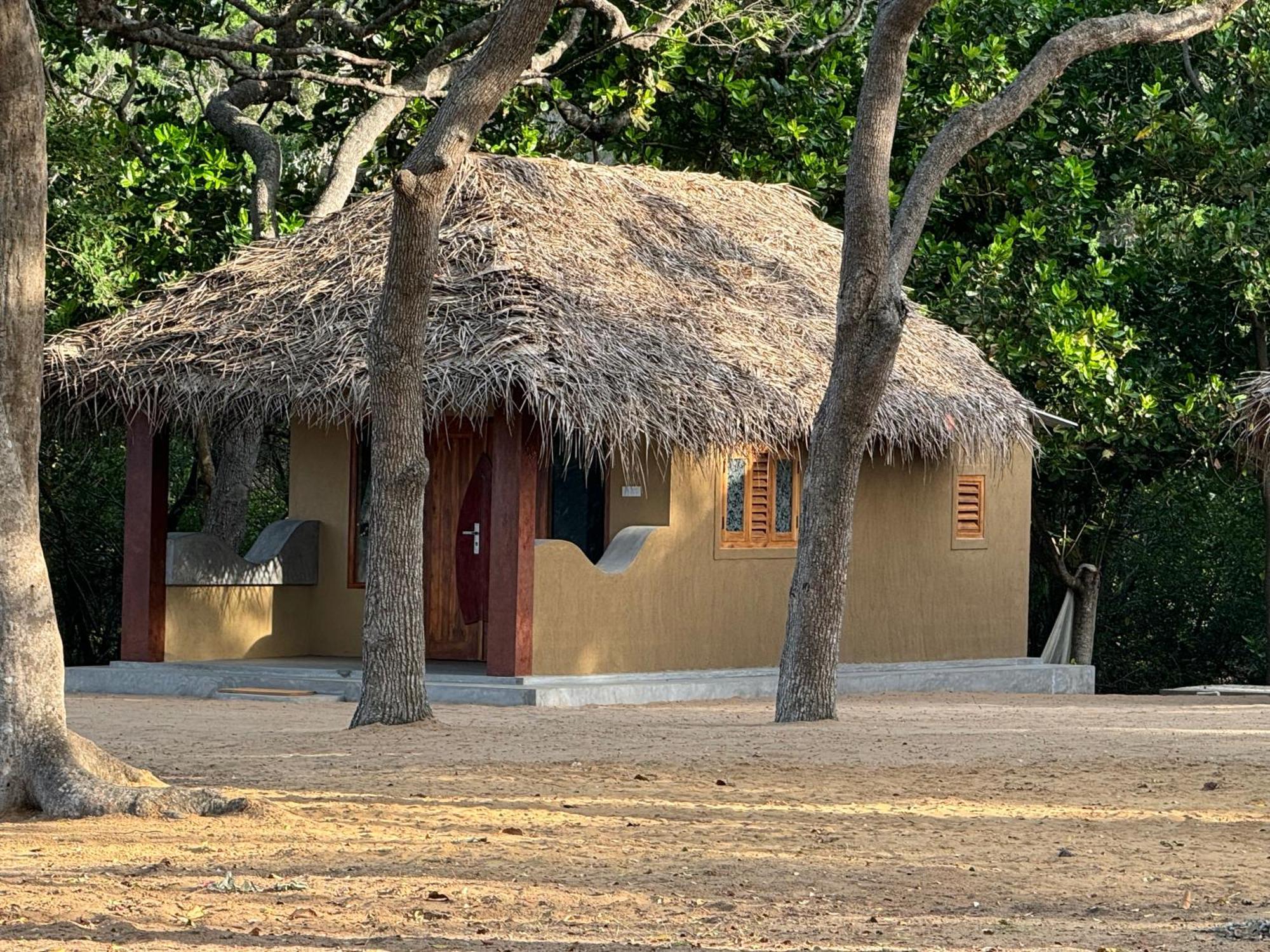 Peanut Farm Surf And Wild Resort - Arugambay อารูกัมเบย์ ภายนอก รูปภาพ